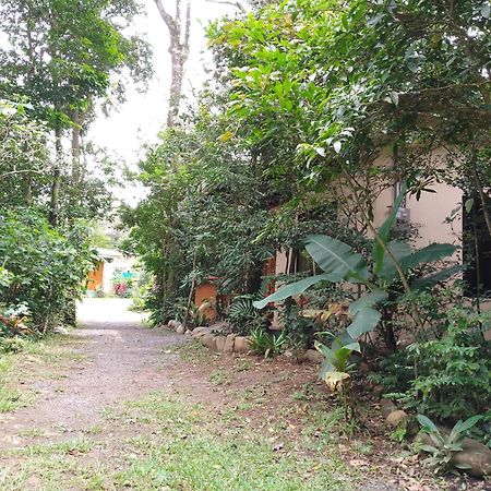 Casitas Del Bosque Monteverde. Pokój zdjęcie