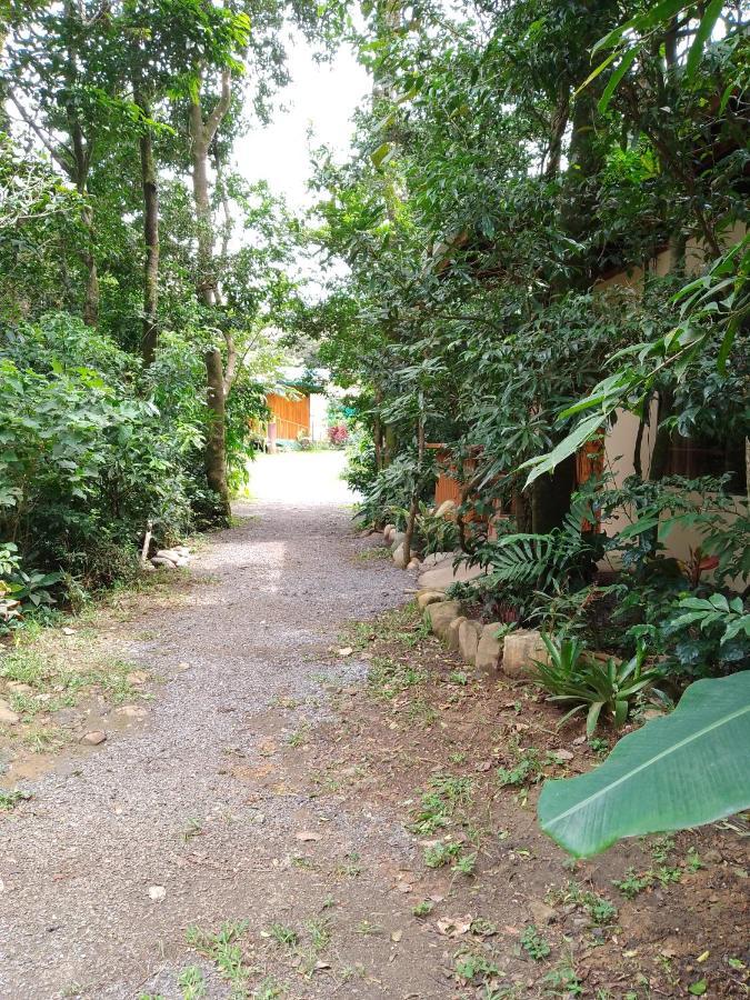Casitas Del Bosque Monteverde. Zewnętrze zdjęcie